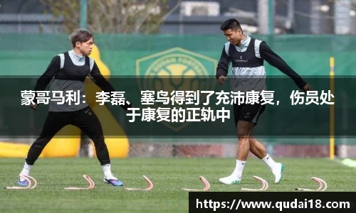 蒙哥马利：李磊、塞鸟得到了充沛康复，伤员处于康复的正轨中